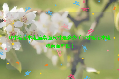 14寸笔记本电脑桌面尺寸是多少（14寸笔记本电脑桌面壁纸）