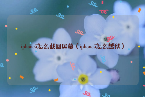 iphone5怎么截图屏幕（iphone5怎么越狱）