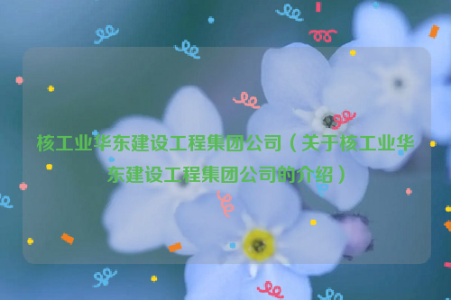 核工业华东建设工程集团公司（关于核工业华东建设工程集团公司的介绍）