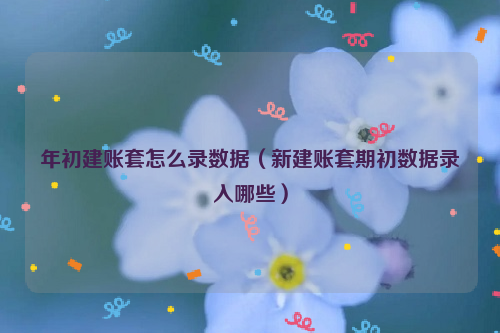 年初建账套怎么录数据（新建账套期初数据录入哪些）