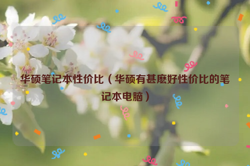 华硕笔记本性价比（华硕有甚麽好性价比的笔记本电脑）