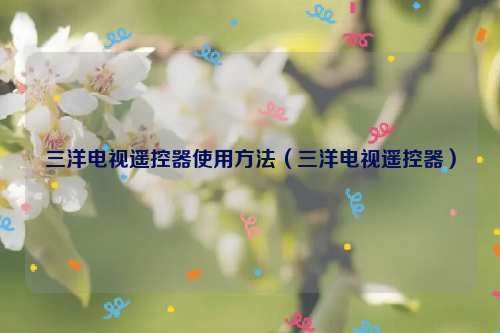 三洋电视遥控器使用方法（三洋电视遥控器）