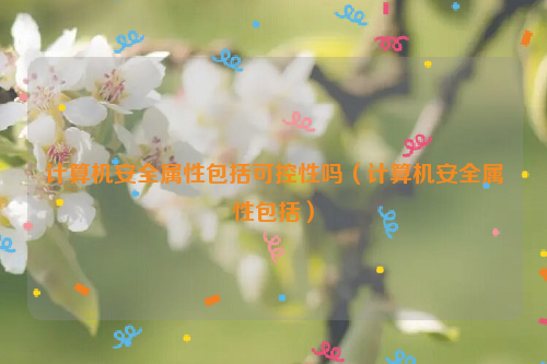 计算机安全属性包括可控性吗（计算机安全属性包括）