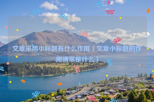 文章采用小标题有什么作用（文章小标题的作用通常是什么）