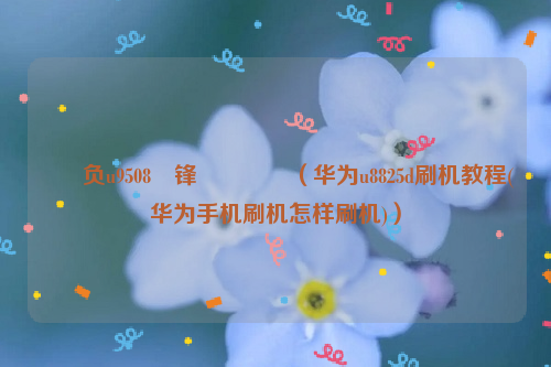 鍗庝负u9508鍒锋満鏁欑▼（华为u8825d刷机教程(华为手机刷机怎样刷机)）