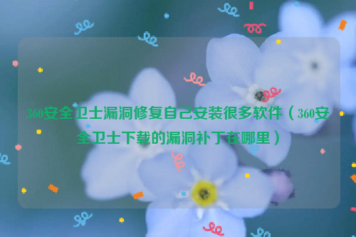 360安全卫士漏洞修复自己安装很多软件（360安全卫士下载的漏洞补丁在哪里）