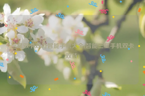 三星双卡双待智能手机大全(智能三星手机双卡双待)