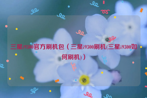 三星i9300官方刷机包（三星i9300刷机(三星i9300如何刷机)）
