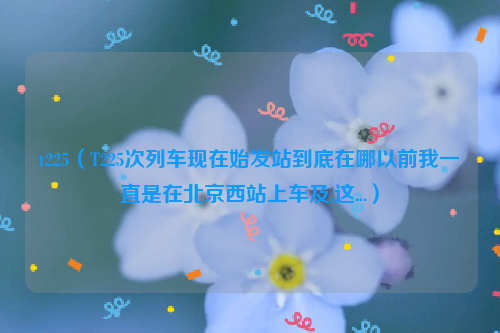 t225（T225次列车现在始发站到底在哪以前我一直是在北京西站上车及,这...）