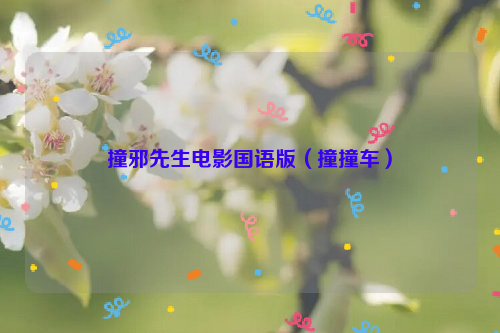 撞邪先生电影国语版（撞撞车）