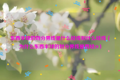 东西半球的划分界线是什么经线和什么经线（为什么东西半球的划分界线是西经20）