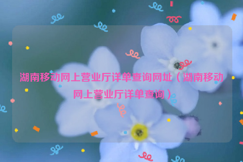 湖南移动网上营业厅详单查询网址（湖南移动网上营业厅详单查询）