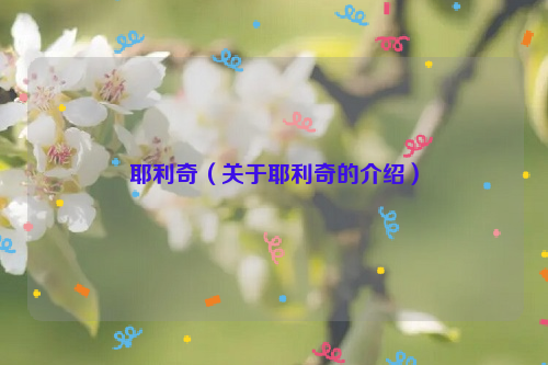 耶利奇（关于耶利奇的介绍）