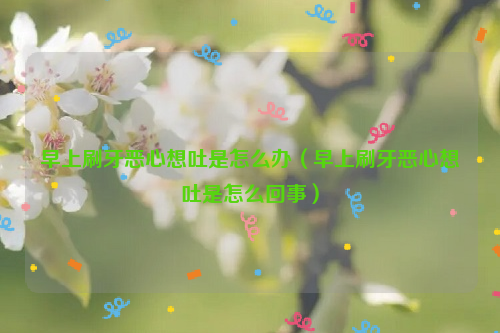 早上刷牙恶心想吐是怎么办（早上刷牙恶心想吐是怎么回事）