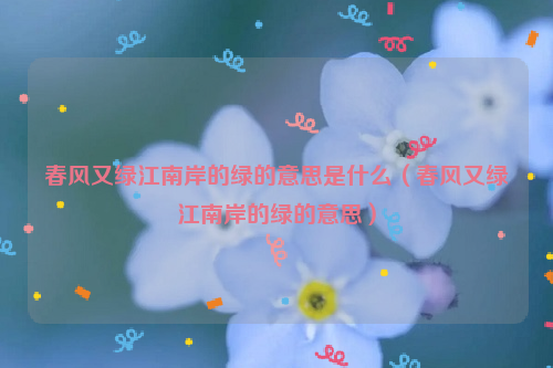 春风又绿江南岸的绿的意思是什么（春风又绿江南岸的绿的意思）