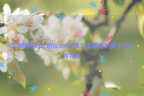 沙特阿拉伯计划在2020年第三季度授予两个MVNO许可证