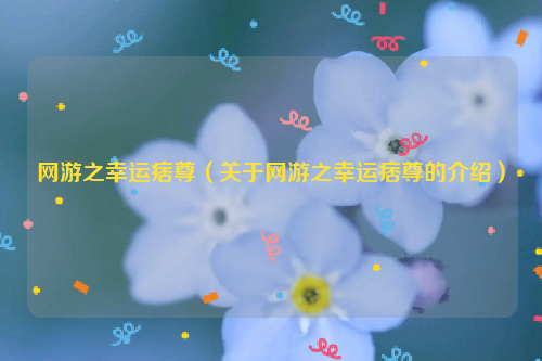 网游之幸运痞尊（关于网游之幸运痞尊的介绍）