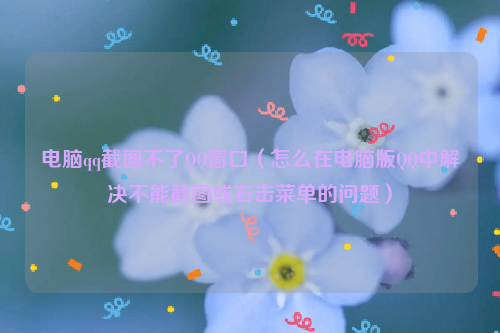 电脑qq截图不了QQ窗口（怎么在电脑版QQ中解决不能截图或右击菜单的问题）