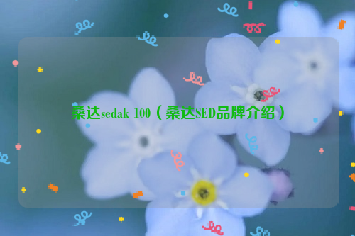 桑达sedak 100（桑达SED品牌介绍）