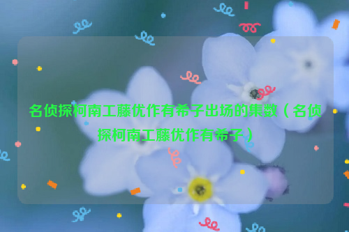 名侦探柯南工藤优作有希子出场的集数（名侦探柯南工藤优作有希子）