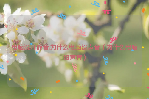 电脑没开静音,为什么电脑没声音（为什么电脑没声音）
