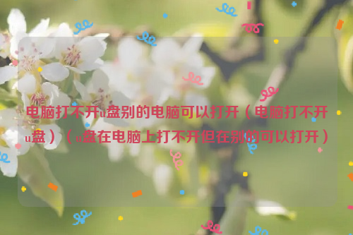 电脑打不开u盘别的电脑可以打开（电脑打不开u盘）（u盘在电脑上打不开但在别的可以打开）