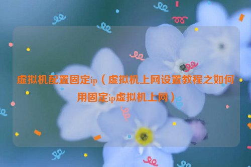 虚拟机配置固定ip（虚拟机上网设置教程之如何用固定ip虚拟机上网）