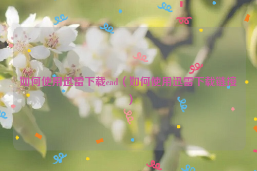 如何使用迅雷下载cad（如何使用迅雷下载链接）