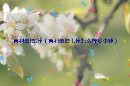 吉利豪情7座（吉利豪情七座怎么样多少钱）