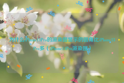 为什么iPhone14Pro的渲染图显示的圆角比iPhone13Pro多（iPhone14Pro渲染图）