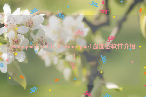 &quot;Port（Locker&quot;U盘加密软件介绍）