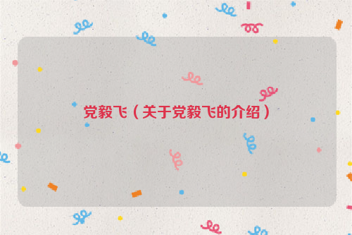 党毅飞（关于党毅飞的介绍）