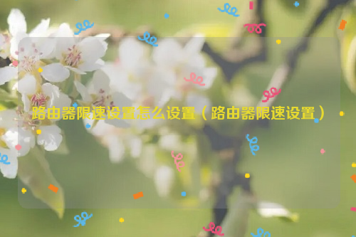 路由器限速设置怎么设置（路由器限速设置）