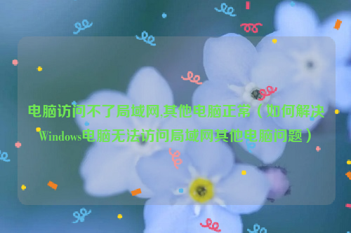 电脑访问不了局域网,其他电脑正常（如何解决Windows电脑无法访问局域网其他电脑问题）