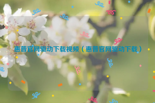 惠普官网驱动下载视频（惠普官网驱动下载）
