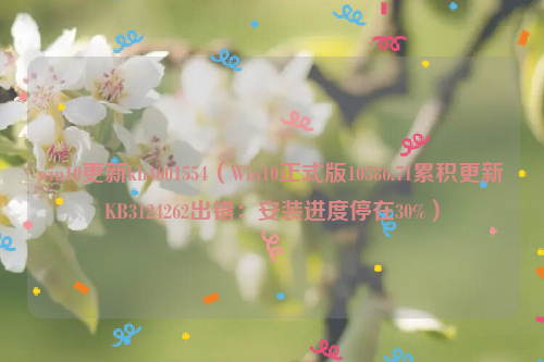 win10更新kb4601554（Win10正式版10586.71累积更新KB3124262出错：安装进度停在30%）