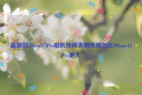 最新的iPhone14Pro相机传闻表明传感器比iPhone13Pro更大