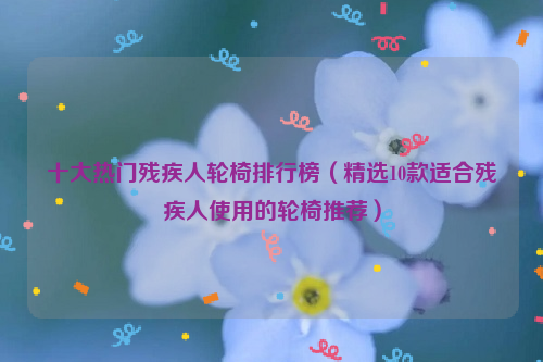 十大热门残疾人轮椅排行榜（精选10款适合残疾人使用的轮椅推荐）