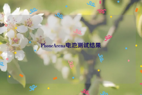 PhoneArena电池测试结果