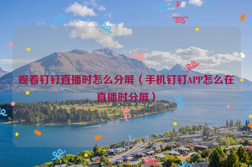 观看钉钉直播时怎么分屏（手机钉钉APP怎么在直播时分屏）