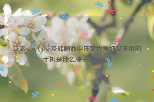泛泰vega（iron及韩剧命中注定我爱你女主用的手机是什么牌子和型号）
