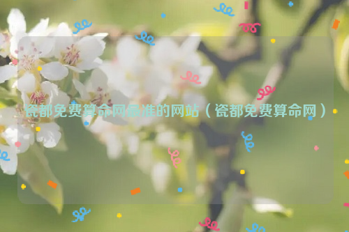 瓷都免费算命网最准的网站（瓷都免费算命网）