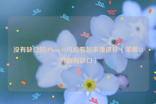 没有缺口的iPhone14可能看起来像这样（苹果11外观有缺口）