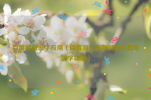 百度截图识字应用（百度浏览器如何使用截图识字功能）