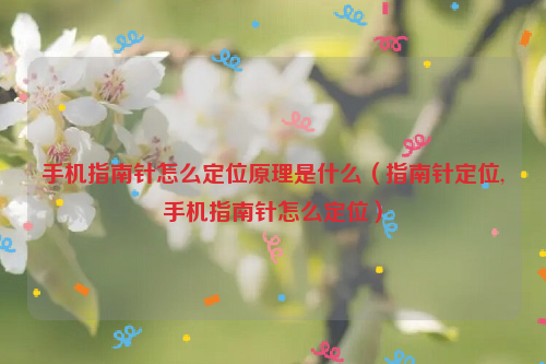 手机指南针怎么定位原理是什么（指南针定位,手机指南针怎么定位）