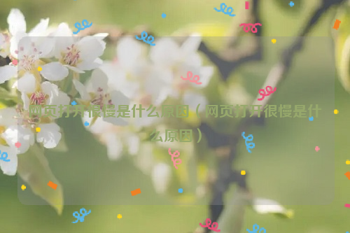 网页打开很慢是什么原因（网页打开很慢是什么原因）