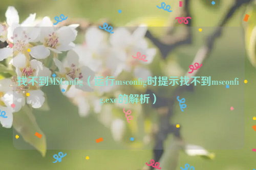 找不到MSConfig（运行msconfig时提示找不到msconfig.exe的解析）