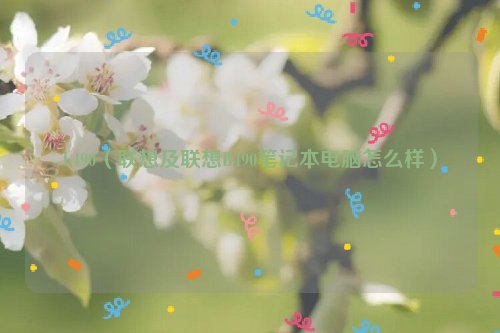 b490（联想及联想B490笔记本电脑怎么样）