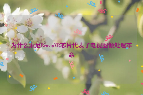 为什么索尼BraviaXR芯片代表了电视图像处理革命