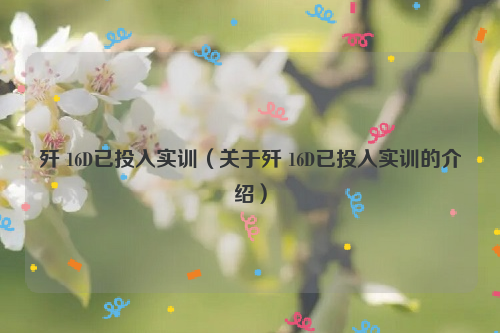歼 16D已投入实训（关于歼 16D已投入实训的介绍）